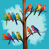 Bird Sort - Nature Puzzle Game icon