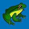 Frog and flies icon