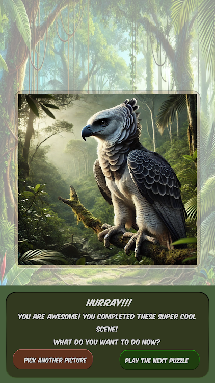 #3. Slide Puzzle Exotic Animals (Android) By: T.A.G.