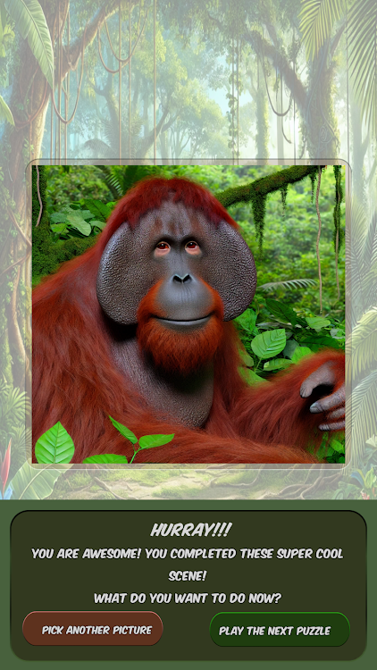 #4. Slide Puzzle Exotic Animals (Android) By: T.A.G.