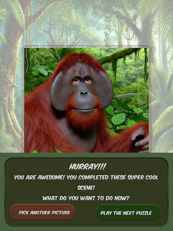 #10. Slide Puzzle Exotic Animals (Android) By: T.A.G.