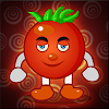 Funny Tomato Rescue icon