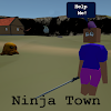 Ninja Town icon