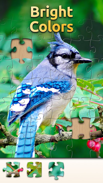 #3. Vita Jigsaw for Seniors (Android) By: Vita Studio.