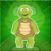 Forest Green Tortoise Rescue icon