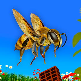 Bugs & Insects VR/AR Kid Game