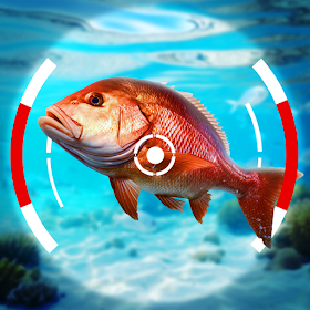 Fishing Champions: casual game