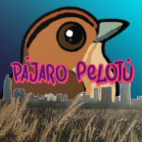 Pajaro Pelotu