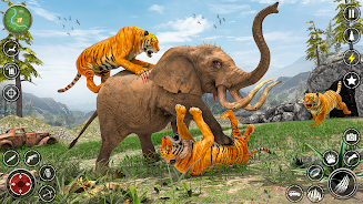 The-Tiger-Family-Simulator-3D.webp.webp