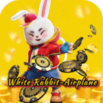  White Rabbit-Airplane 