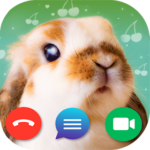  Fake Call: Bunny 