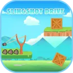  Slingshot Drive 