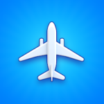  Airport Madness: FlightManager 