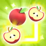  Fruit Flow Puzzle 